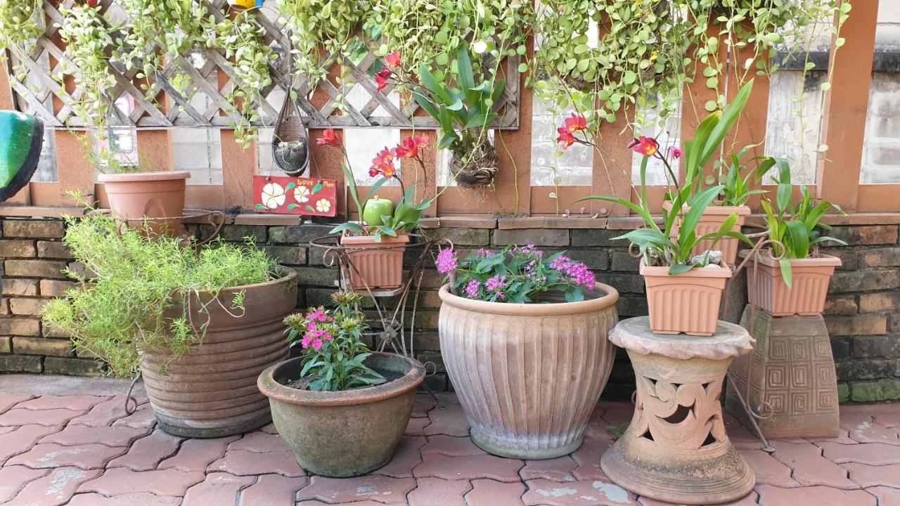 Little Guest House Hotel Chiang Mai Exterior foto